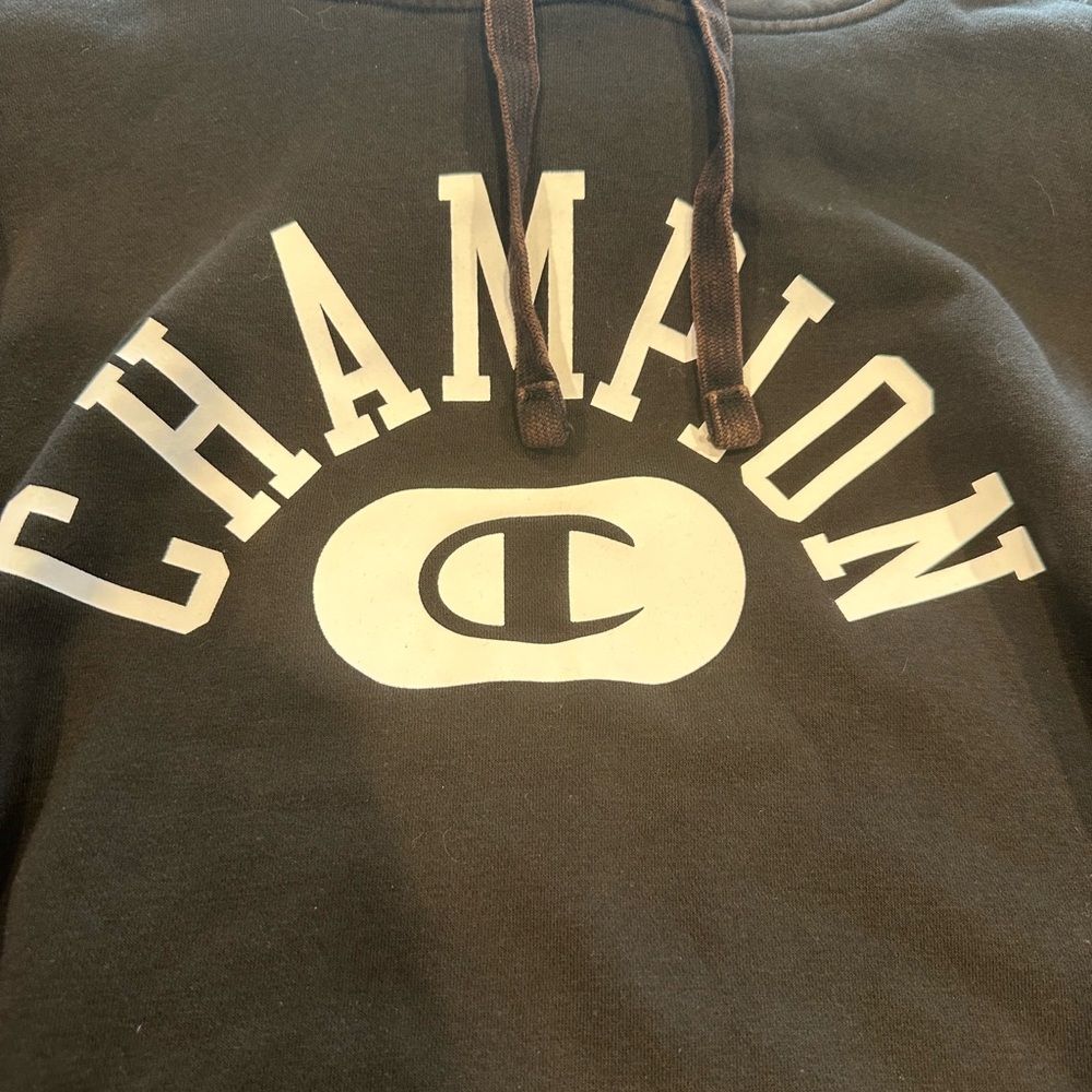 Champion Men's Vintage Wash Varsity Hoodie, Arch Logo - Size Medium - Picture 5 of 6